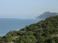 Зеленый берег