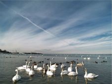 зимовка зимовка