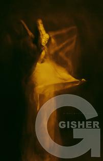 Davit Galstyan - 108