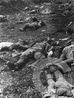 Геноцид 1915 года