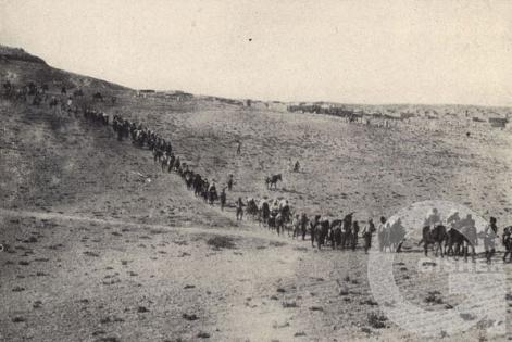 Геноцид Армян