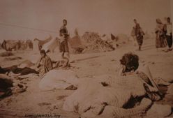 Геноцид Армян