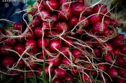 Shuka Stepanakert Lernayin Karabakh