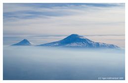 Ararat