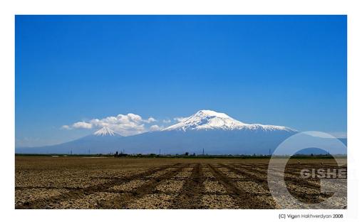 Blue Ararat