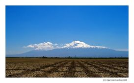 Blue Ararat
