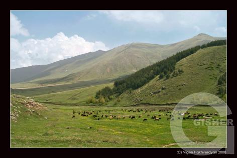 лугу посутся ко.jpg