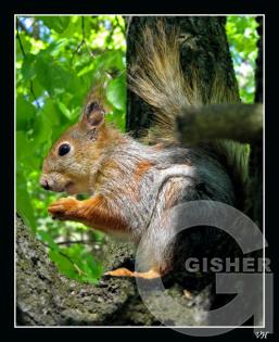 меня обед!!!.jpg