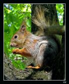 меня обед!!!.jpg