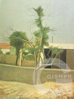 A courtyard in yerevan, 1975