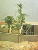 A courtyard in yerevan, 1975