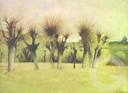 A landscape in nakhichevan. tshna, 1975