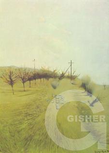 A small garden, 1974