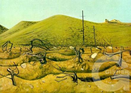 An old vineyard, 1970