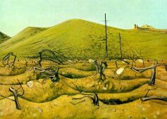 An old vineyard, 1970