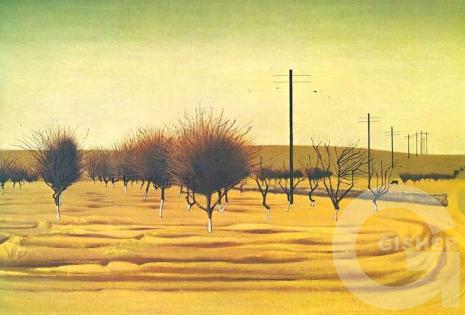 Apricot orchard, 1970