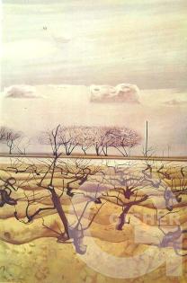 Clouds and trees, 1974