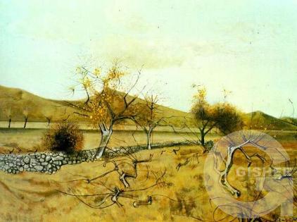 Mountain vineyards, 1974