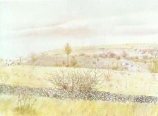 The environs of Biurakan, 1980