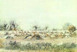 The environs of Yerevan, 1973