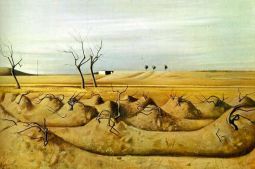 Vineyard in winter, 1972