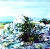 Autumn of Sevan, 1991