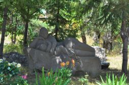 В тени деревьев