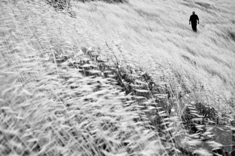 Karen Mirzoyan_Nagorno-Karabakh