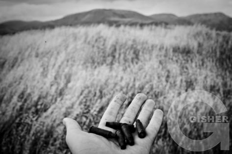 Karen Mirzoyan_Nagorno-Karabakh