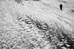 Karen Mirzoyan_Nagorno-Karabakh