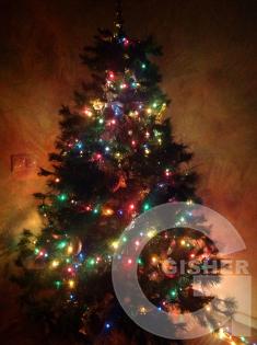 Елка Gisher.ru 2014