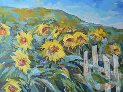 Sunflowers, 2007