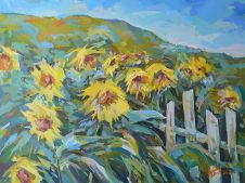 Sunflowers, 2007