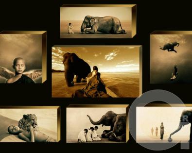 Работа Грегори Кольбера