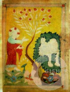 Adam and Eve among the bushes