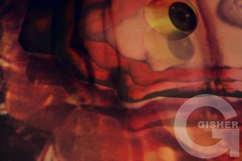 Time is a Killer Close Up 1