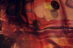 Time is a Killer Close Up 1