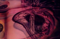 Time is a Killer Close Up