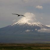 Ararat 03
