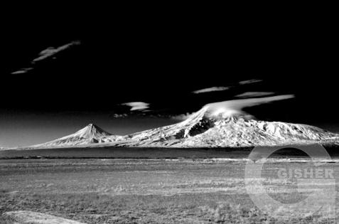 Ararat 10