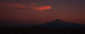 Ararat 12