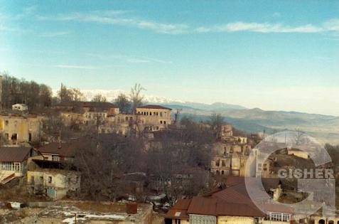 Breygel' (Shushi) - 1