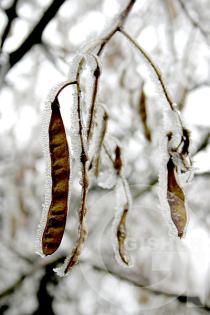 Dzer nor tarva lobin shnorhavor