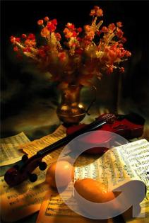 49645560 d1d8e445e78f