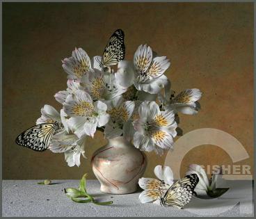 музыка моей души