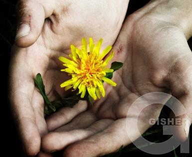 Солнышко в руках)