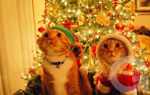 С Новым Годом!