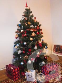 Новогодняя ёлка