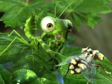 Богомол Богомол