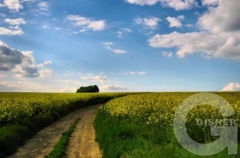 Дорога домой